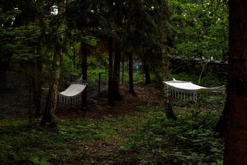 Okno Na Las Wola Polska Extérieur photo